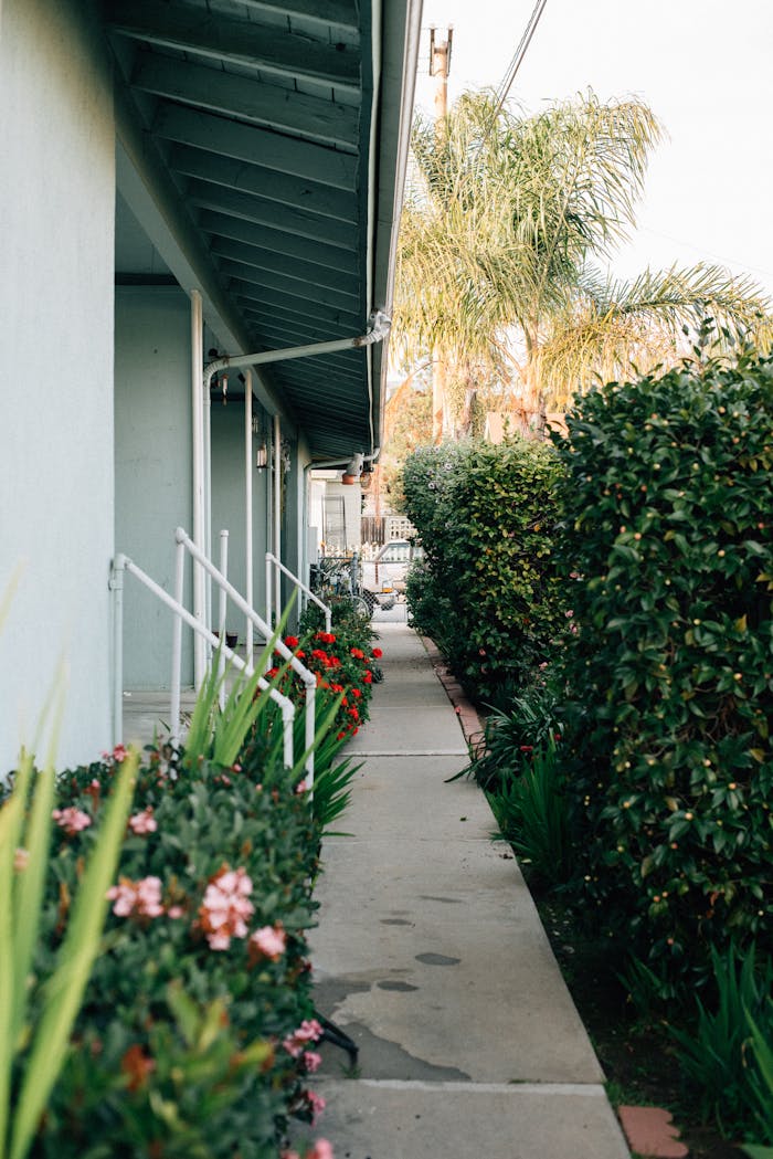 A Paved Pathway With Beautiful Flowers